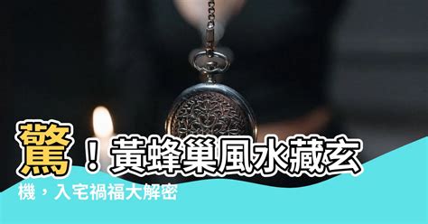 黃蜂巢風水|【黃蜂巢風水】東南面窗户上長個黃蜂巢 